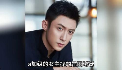 娱乐圈明星八卦爆料合集,揭秘明星背后的故事与真相  第1张